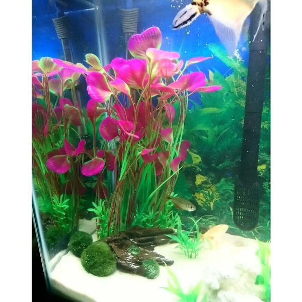 Store kunstige akvarieplanter i plast til akvariedekoration, sikker for alle fisk 40 cm høj (18 cm) bred KLB