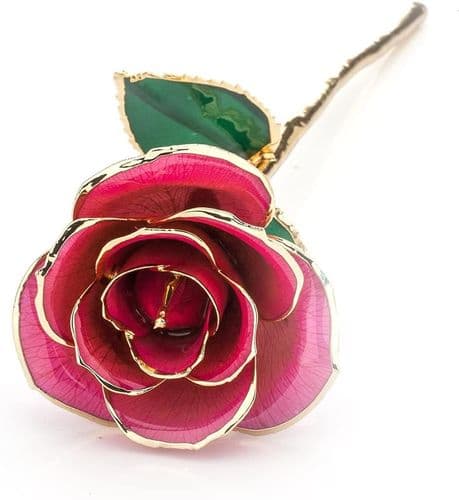 Ekte rose belagt med 24 karat gull