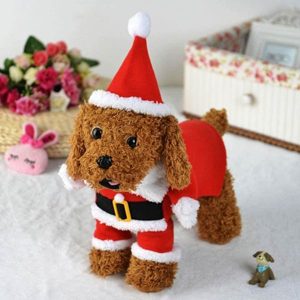 Jultomte hund- och kattkostym, julhusdjurskläder, julhusdjurskläder med tomteluva M