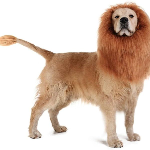 Lejonman Peruk Hundkläder Justerbara Öron Cosplay KLB