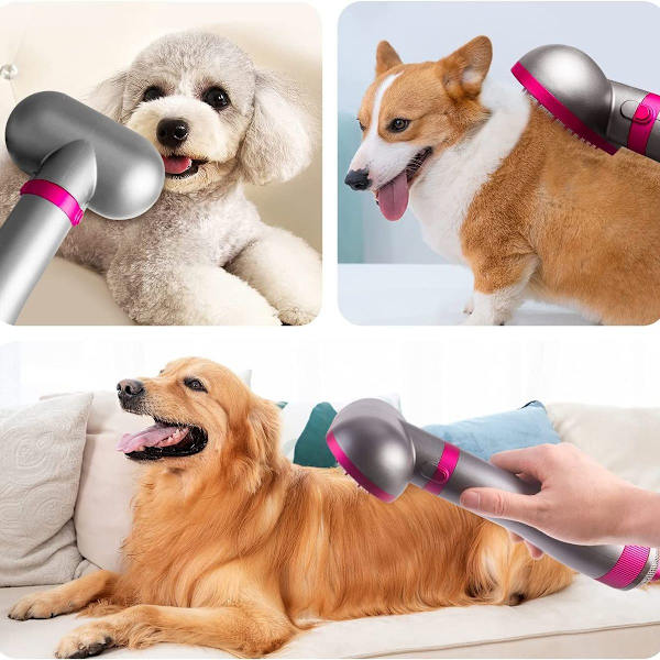 Hundetørrer - Lydsvag hundetørrer til små hunde og katte 2 i 1 KLB