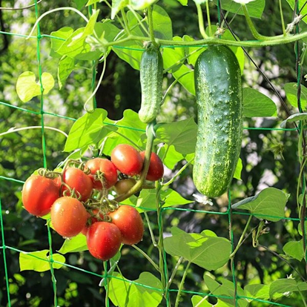 2 st plantstöd spaljenät, polyeten klätterväxtnät odlingsnät för vinrankor grönsaker blommor frukter, 1,8mx3,6m KLB