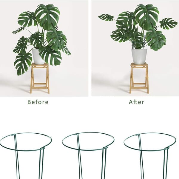 6 Pakke Plante Støttepinner Metall Hage Plante Pinner