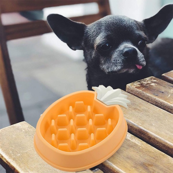 Katte- og hundefoder skål, langsom foder skål, tip-over katteskål, gul KLB