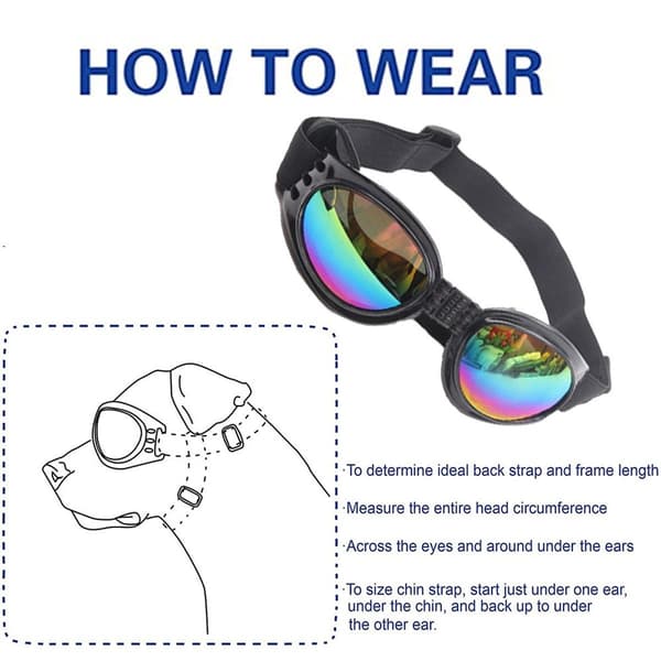 Hunde Goggles Øjenbeskyttelse Vandtæt Kæledyr Solbriller Sort KLB