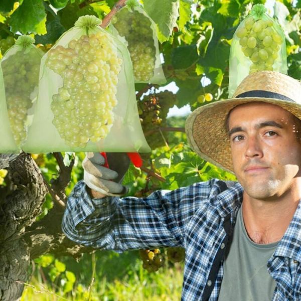 Drueklasebeskyttelsespose, 120 stykker 3 størrelser fruktbeskyttelsespose, organzapose med snøring for å holde veps og andre insekter ute KLB