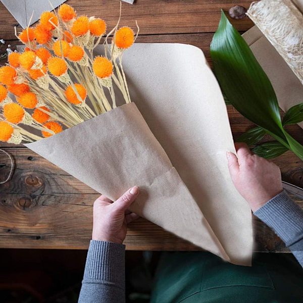 Torkade tallkottar blomma naturlig odödlig torkad blomma KLB