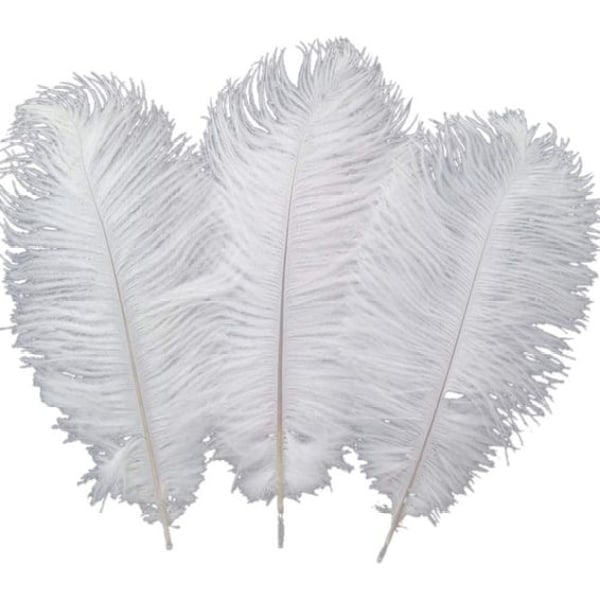 Struds fjerpynt 45-50 cm