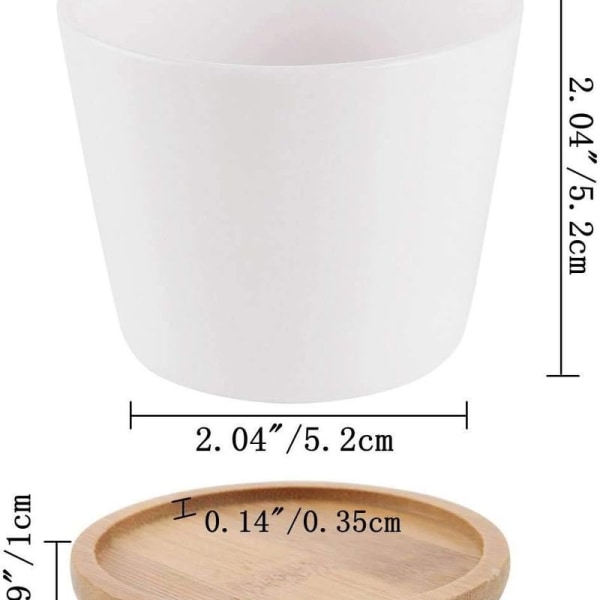 6,5 CM Krukor för Suckulenter Kaktus Växter Mini Blomkrukor Bas
