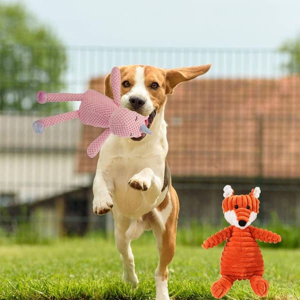 Koiran lelu, pehmoinen koiran lelu Squeaky patternFox KLB