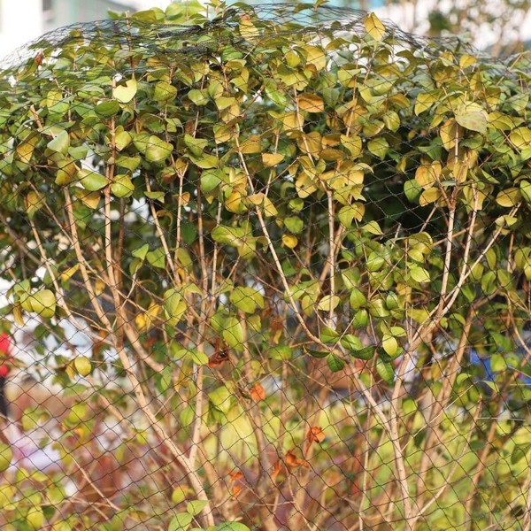 Netting mot fugler, beskyttende netting, hagenetting, damnett, fugleburnett, damnett mot