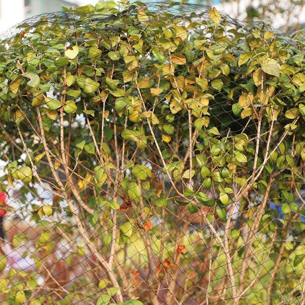Silmäkokoinen linnunsuojaverkko suojaverkko puutarhaverkko lampiverkko linnunverkko lampiverkko vastaan