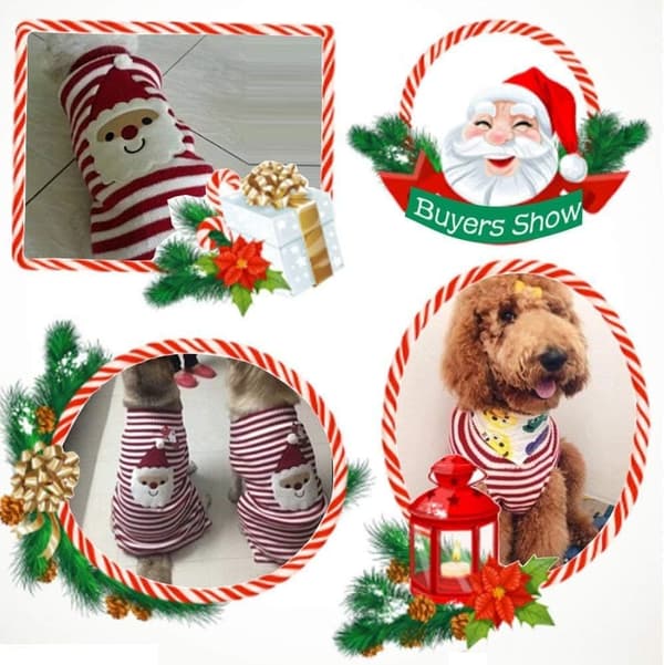 Hundtröja, L, Jultomte husdjur katt vinter stickat varmt kläder