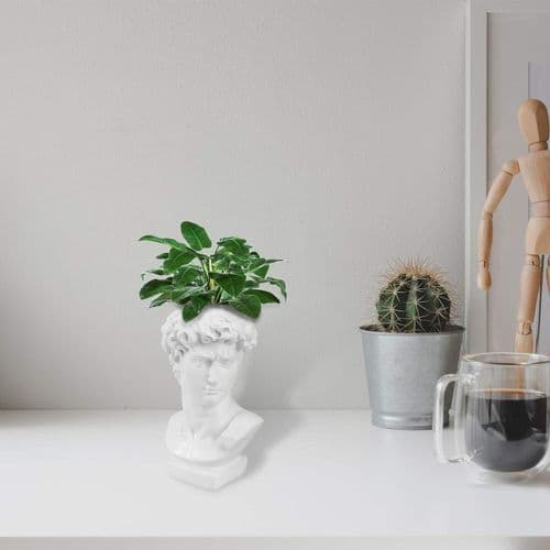 Skulpturhodeplanter Gresk David Statue Sukkulentplanter Vase Penn
