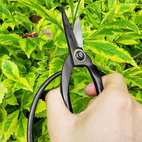 Professionella 7,3\" Bonsai-saxar (GPPS-1012) för organisering