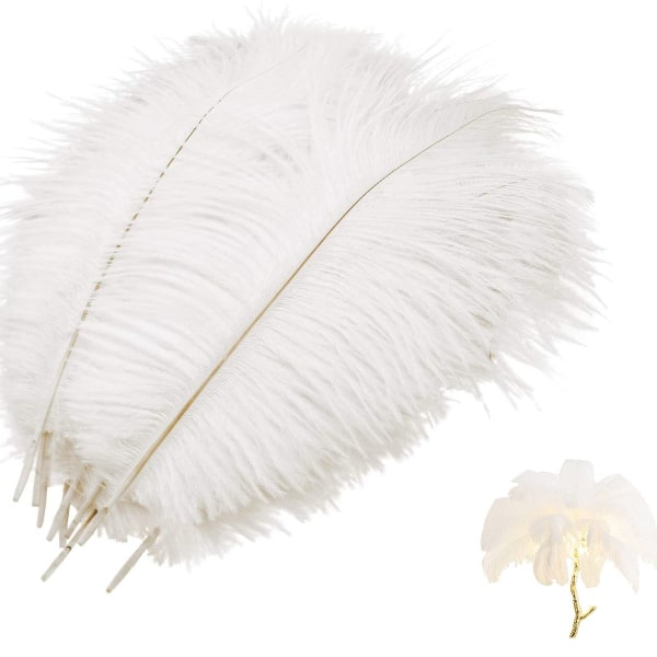 Pack of 10 natural ostrich feathers, ostrich feather plume for wedding party KLB