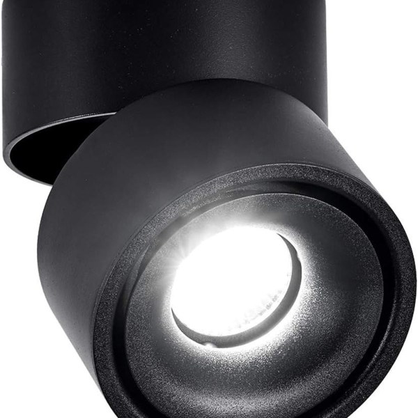 10W loftslampe, justerbar lampehus, indendørs brug, sort + kølig hvid