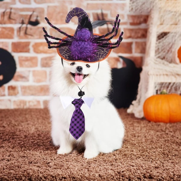 Hund Halloween kostymer, spindel hund trollkarl hatt och lila rutig hund slips KLB