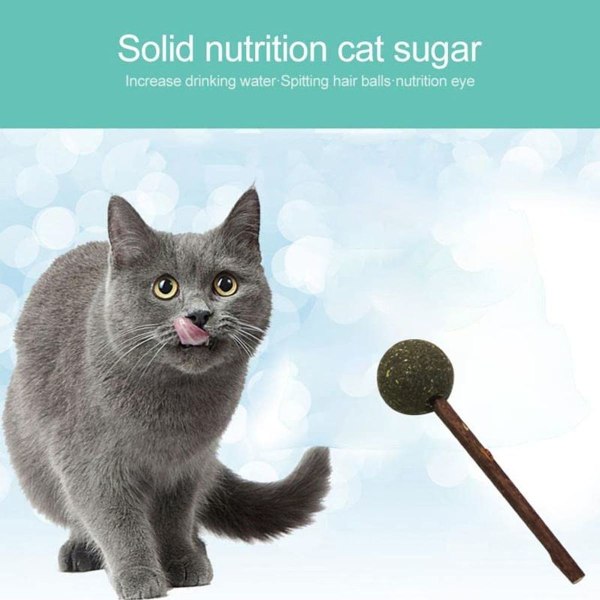 Pcs Catnip Ball Lollipop Catnip Leke Innendørs Utendørs KLB