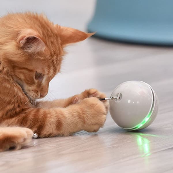 Interaktiv kattelegetøj bold med LED-lys, 360° Grå KLB