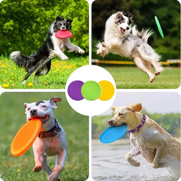 Hundeflyvende disk, blød gummiflyvende disk til hunde, let, grøn, gul, lilla KLB