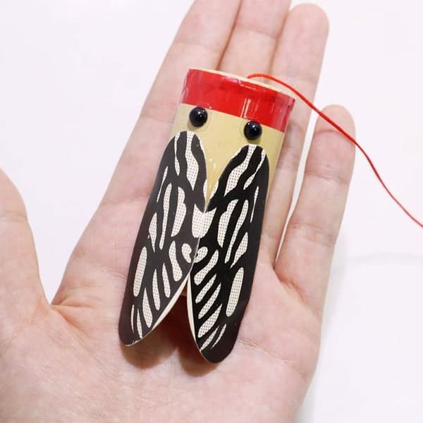 Treet pinne rister sicade, lydtransmisjon, DIY-eksperiment, utdanning KLB
