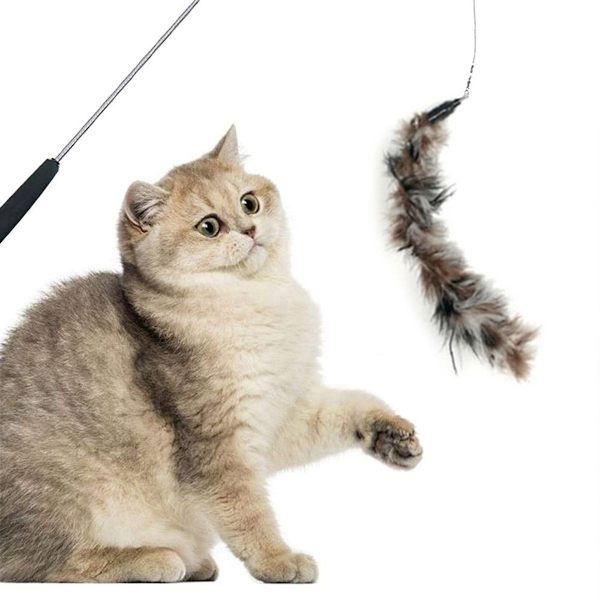 Interaktiv kattfjäderleksak, kattfjäderleksak svart KLB