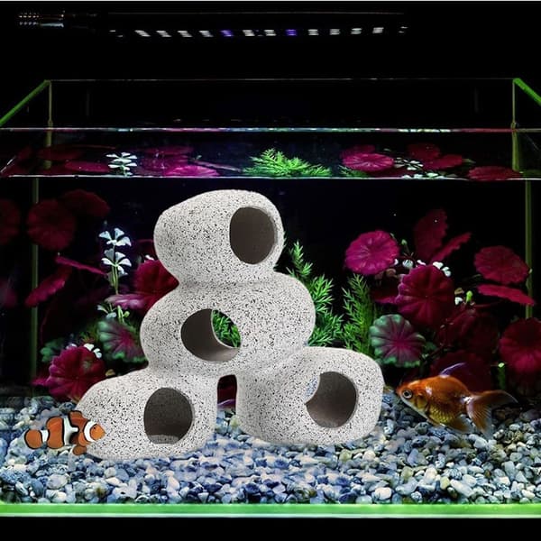 Akvarium dekorerar sten grottor där gömställen är dolda