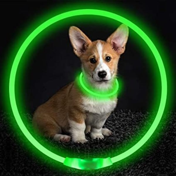 LED-kaulapanta, USB ladattava Flash-kaulapantavalo, lemmikkieläinten turvapanta mahdollistaa rakkaiden koirien näkymisen yöllä pienille ja keskikokoisille