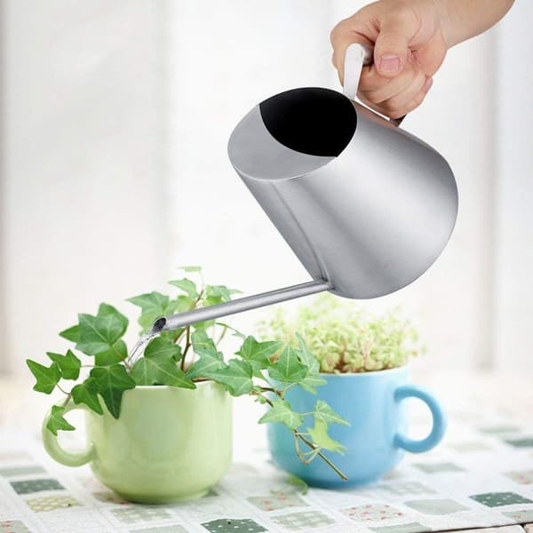 Rustfrit stålvandkande til potteplanter med lang tud, moderne