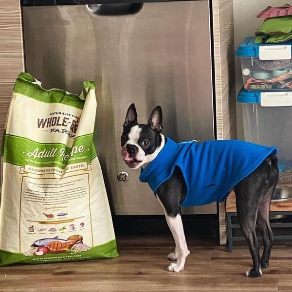 Varm fleece hundegenser med O-ring-bånd - vinterblå