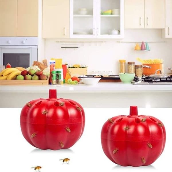 2 små pumpa fruktflugefällor, fruktflugefälla (röd)
