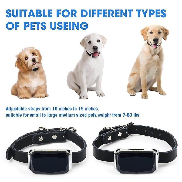 Monitoiminen koiran GPS-pantapaikannus Smart Pet Tracker|GPS-seurantalaitteilla