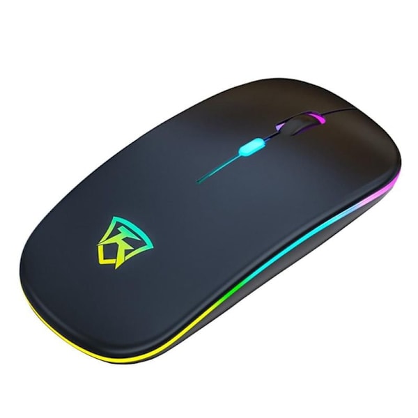 Trådlös mus ergonomisk tyst optisk möss med USB Nano-mottagare,