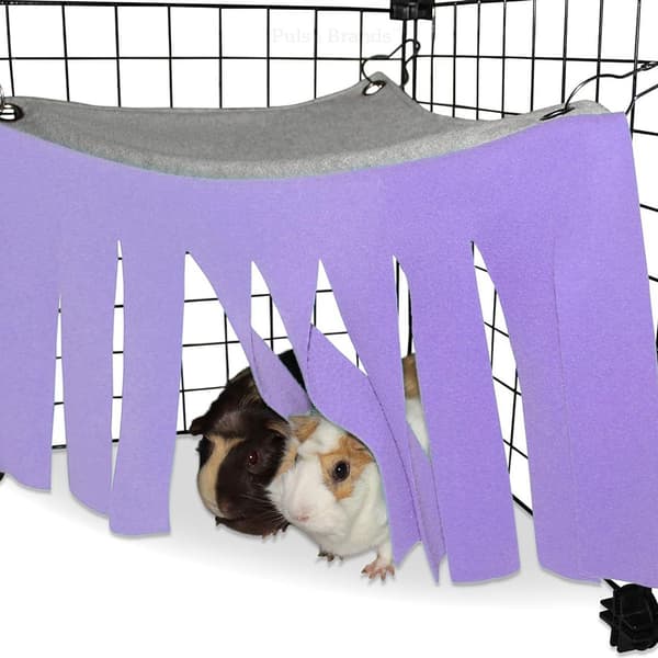 Kanin/Hamster Hengekøye Lite Dyre Gjemmested Lilla/Grå KLB