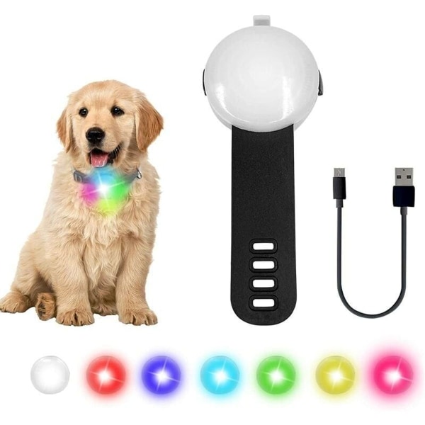 Uppladdningsbar LED-ljuskrage för hund, vattentät, 4 färgskiftande lägen