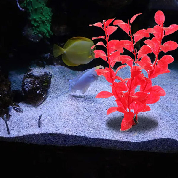 10 kpl Akvaariokasveja Set vesikasvit Punaiselle KLB:lle