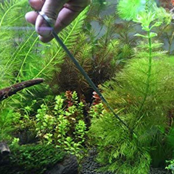 Akvarie Terrarium Sax Växt Sax, Rostfritt Stål Svart KLB
