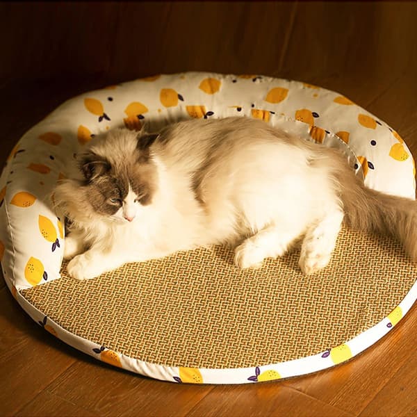 Fancy hund seng måtte, kat rotang madras til alle L(23.62) KLB