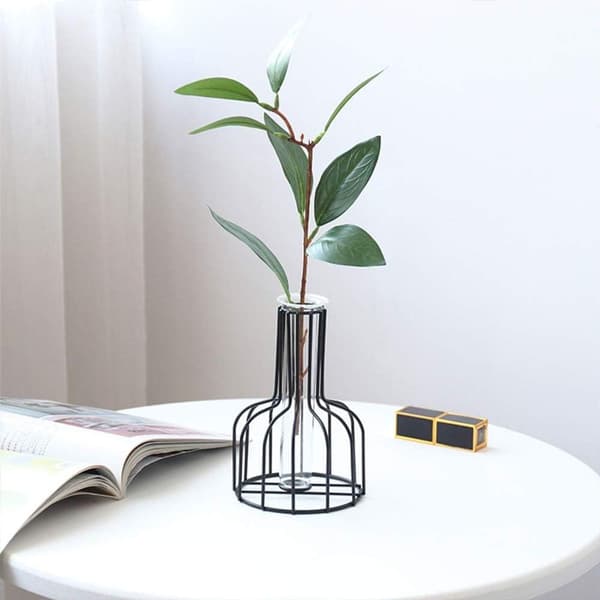 Jernvase, blomster vase, reagensrør vase for hydroponisk system, liten moderne KLB