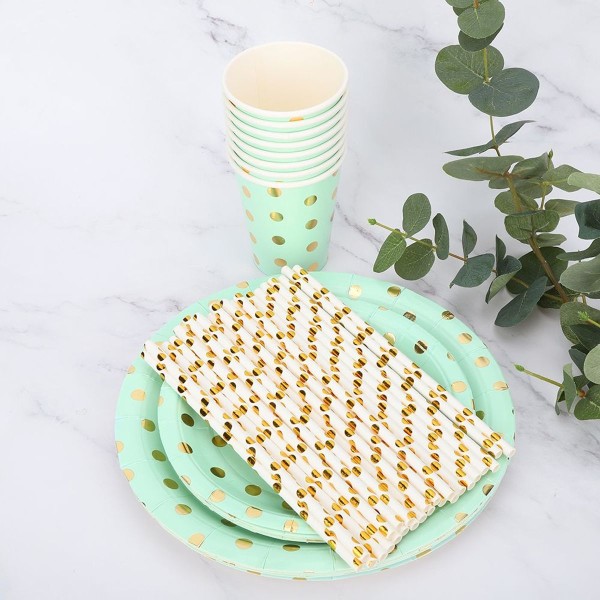 Disposable polka dot paper plates, cup, straw, birthday KLB