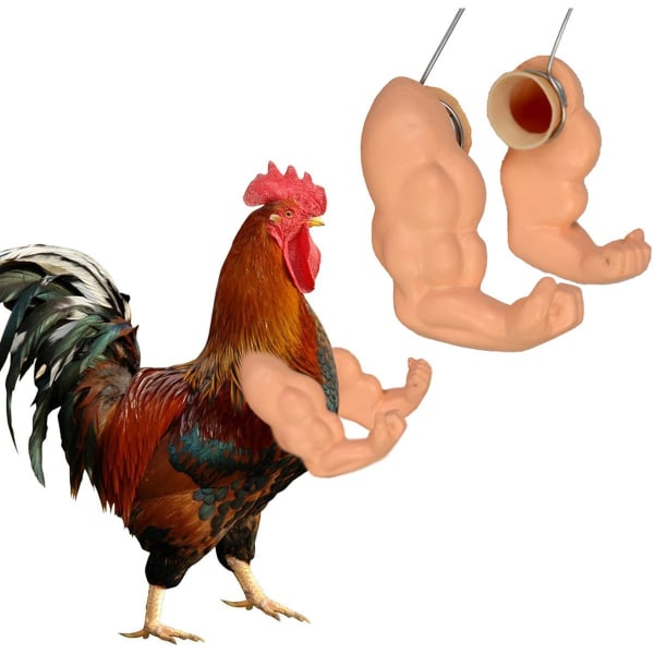 Muscle kyllingarmer leketøy for kyllinger å bære, style1 KLB