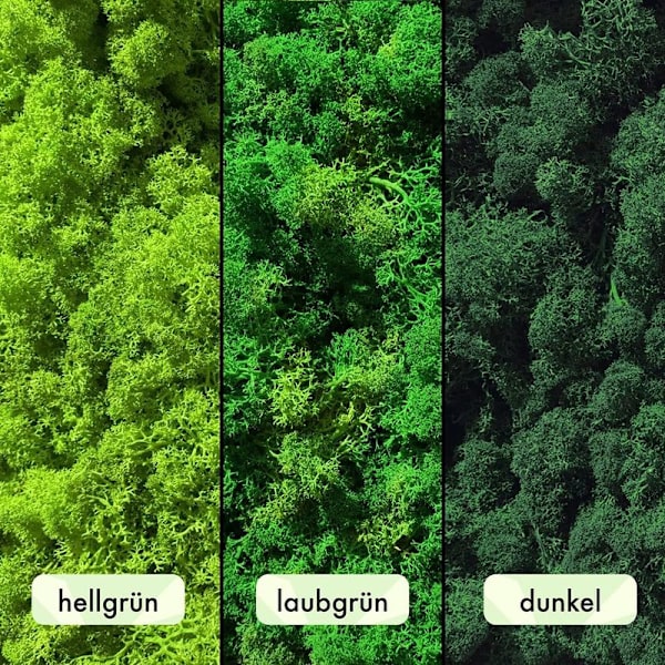 Preservert mose - naturlig, langvarig DIY-kunst