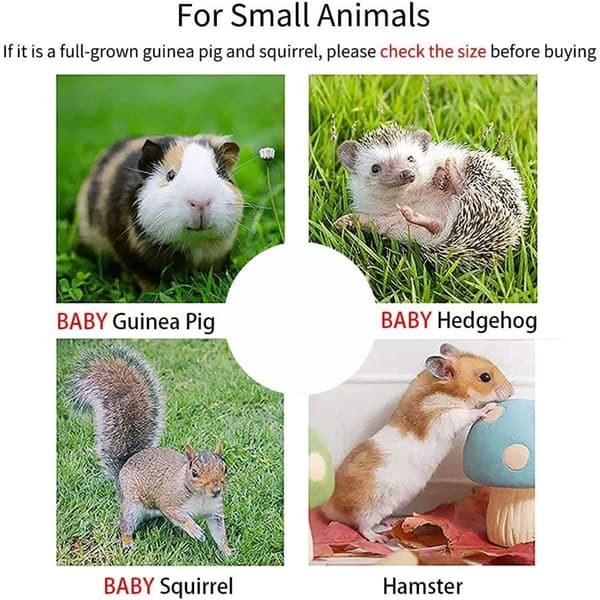 Hamster pindsvin tunnel bruges til søde gerbil små dyr
