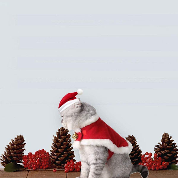Katt Juldräkt Husdjur Jultomte Cape med Klockor Söta KLB