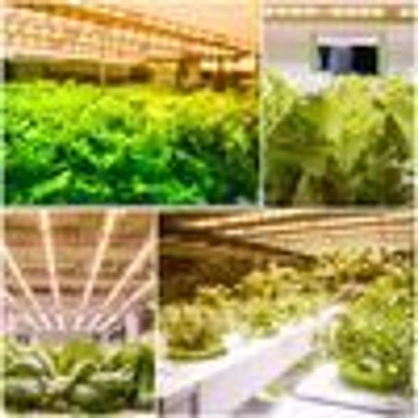 40W LED Plantelampe Full Spectrum Sollys USB Innendørs Planter KLB