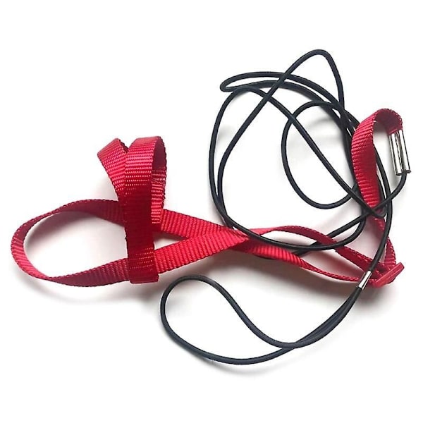 Justerbar fågelsele koppel papegoja anti-bit träningsrep utomhus flygande dragremmar band (XL) röd