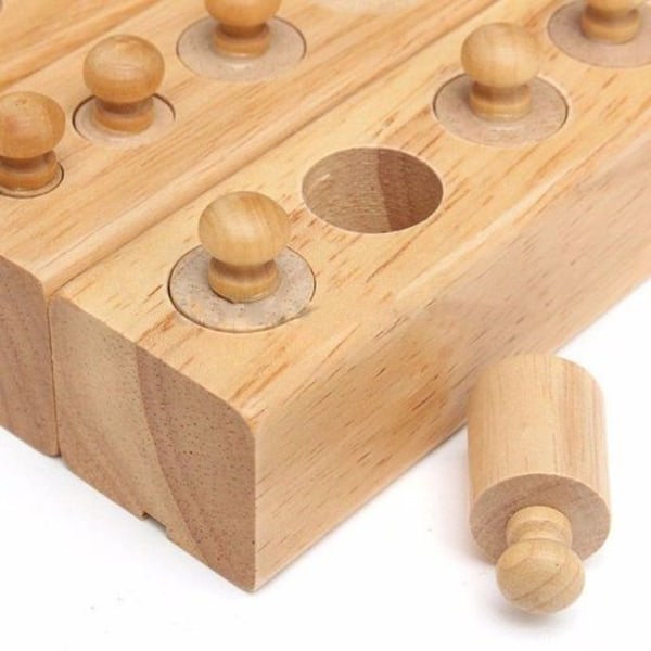 Pixnor pædagogisk trælegetøj Montessori cylinder stik tidlig udvikling