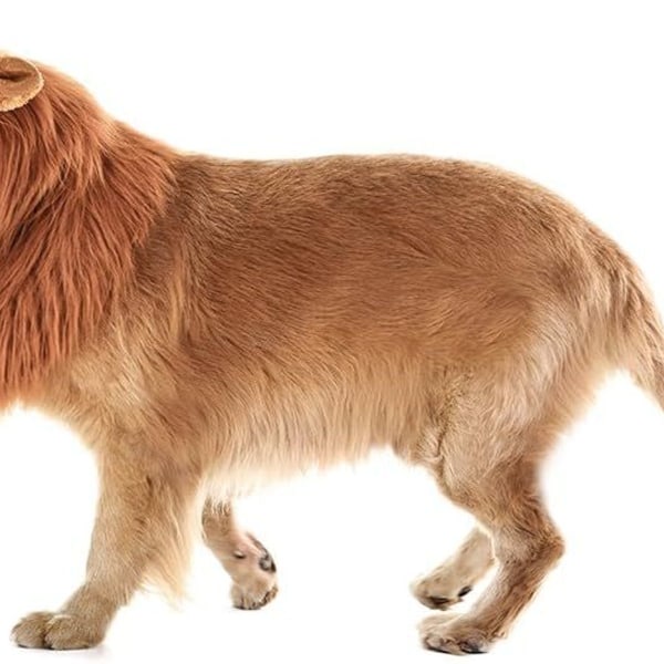 Løvemanke parykk hundeklær justerbare ører cosplay KLB