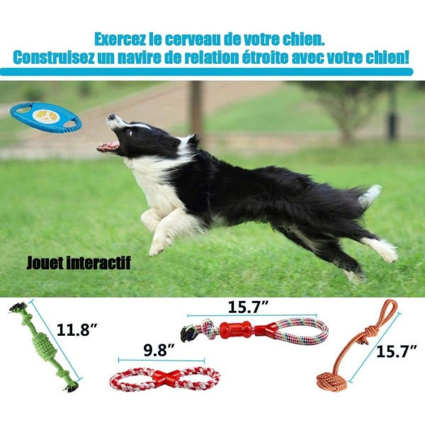 Set med 10 hundleksaker, slitstark tuggrep Solitude-leksak för små och medelstora hundar friska (flerfärgade)